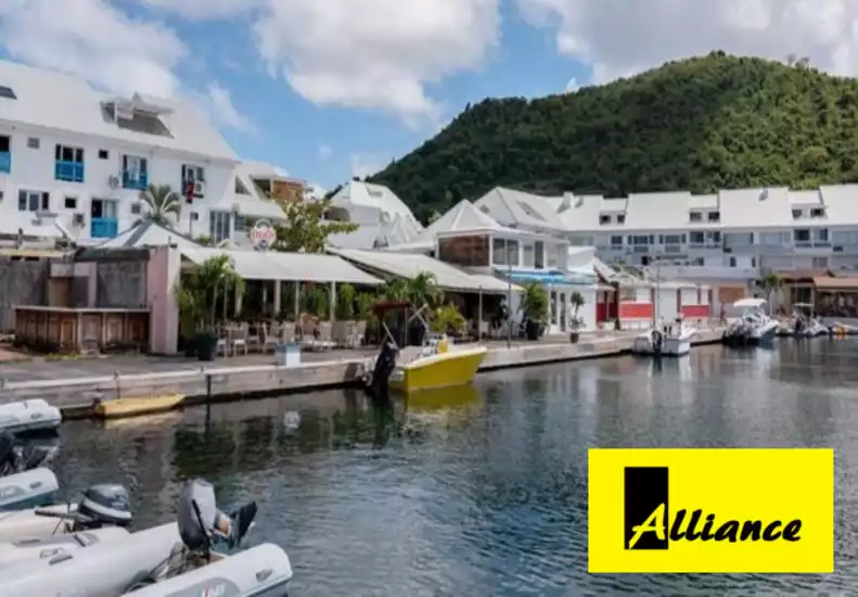Saint-Martin Guadeloupe Guadeloupe - Vente - Local commercial - 110000 €